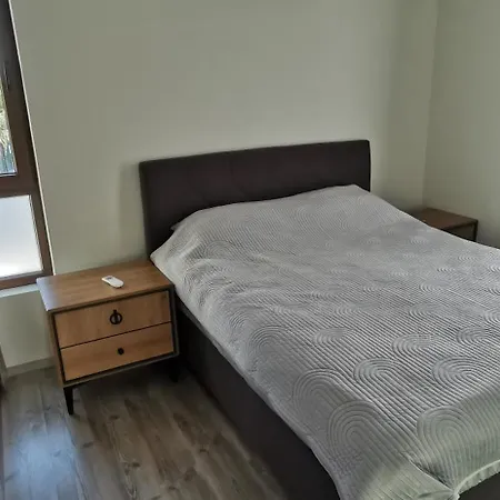 Aх, морето アパート ブルガス